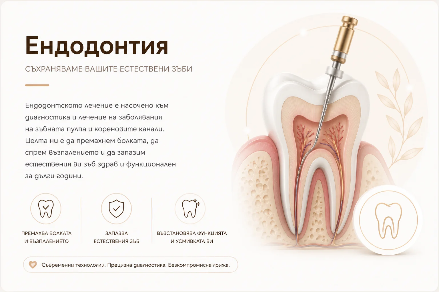 Minimal infographic for endodontics and root canal treatment